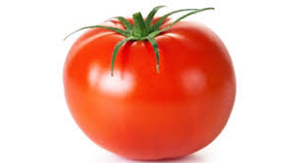 bea tomate solob.jpg